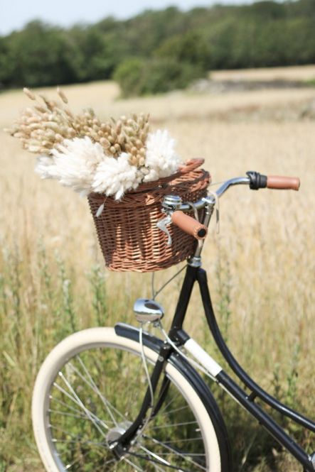 Hovedbilde Lagurus natur