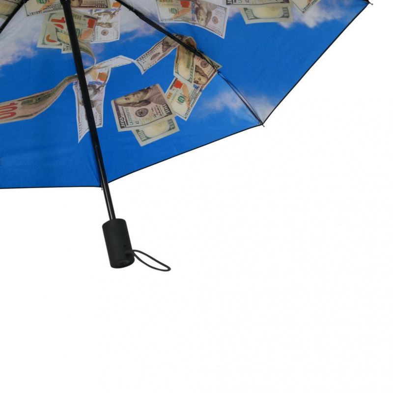 Paraply Cash flow