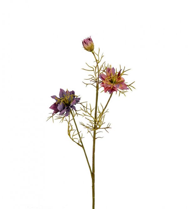 Hovedbilde Nigella purple